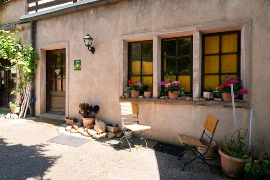 Gite L'Oeuf Ou La Poule, Parking Prive, Sur Domaine Viticole Ribeauvillé Kültér fotó